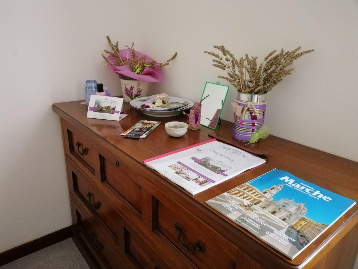 Amor Di Lavanda 친골리 외부 사진